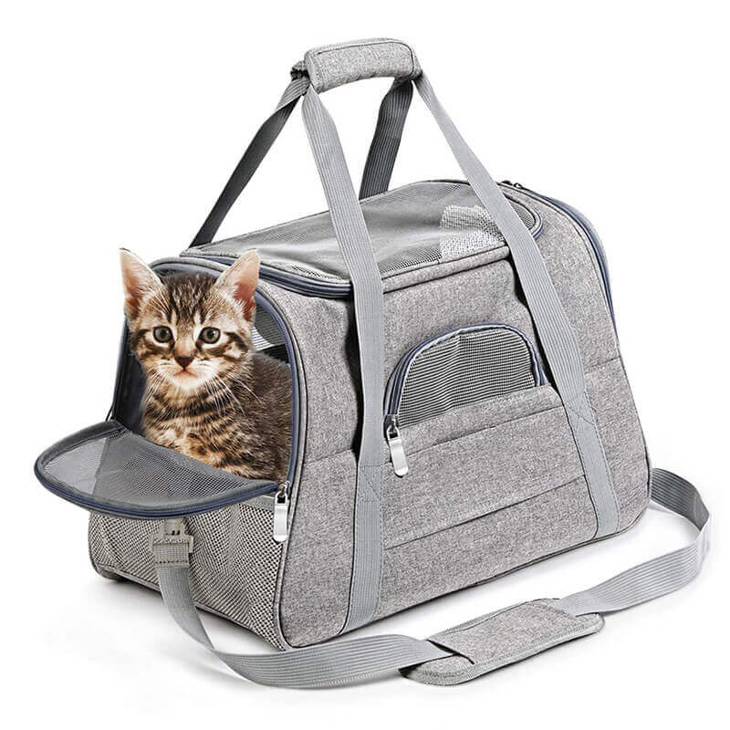 Foldable Pet Carrier for Cats & Dogs