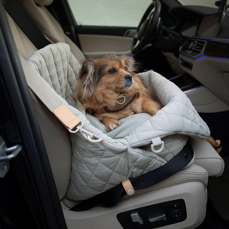 3in1 Premium Dog Carrier
