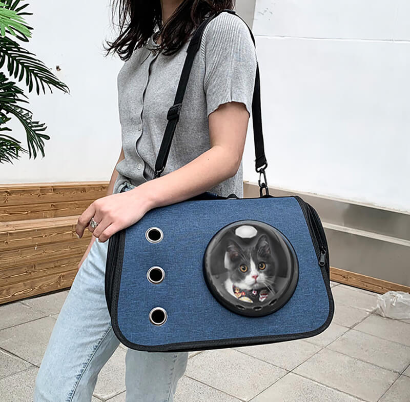 Foldable Pet Carrier with Window