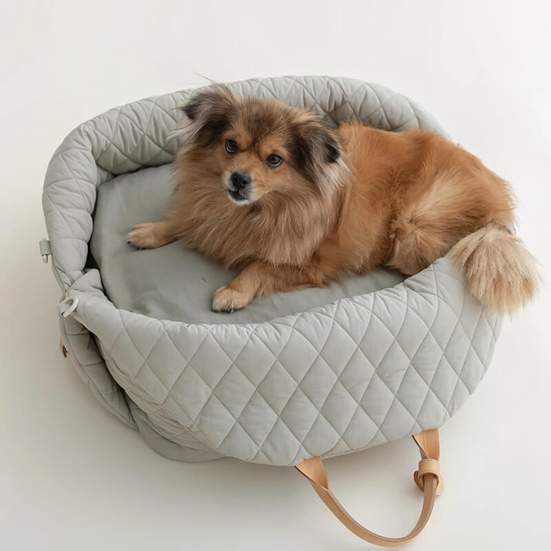 3in1 Premium Dog Carrier